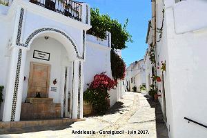 347- Genalguacil